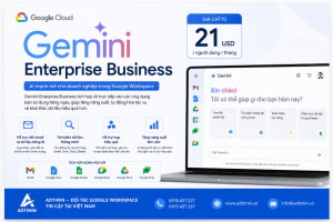 Gemini Enterprise Business